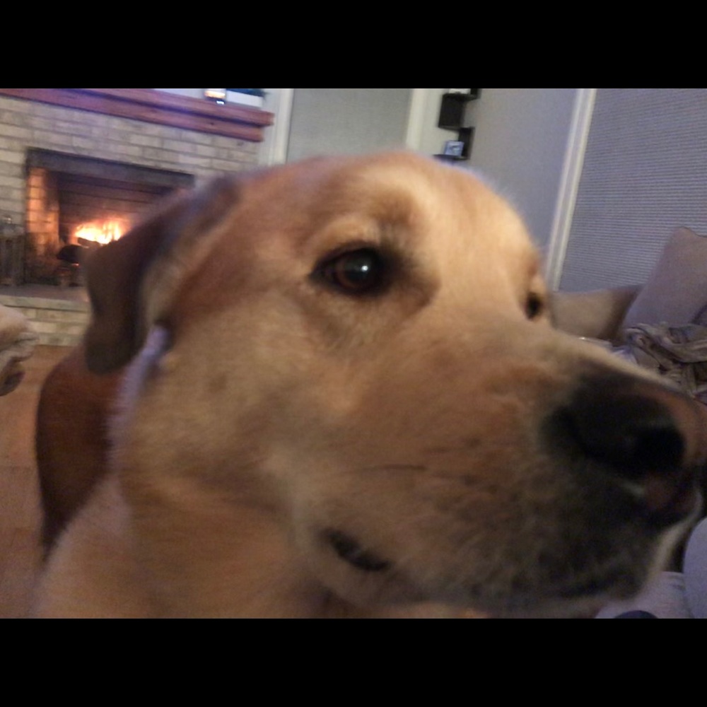 Meet your Posher, Lindsey